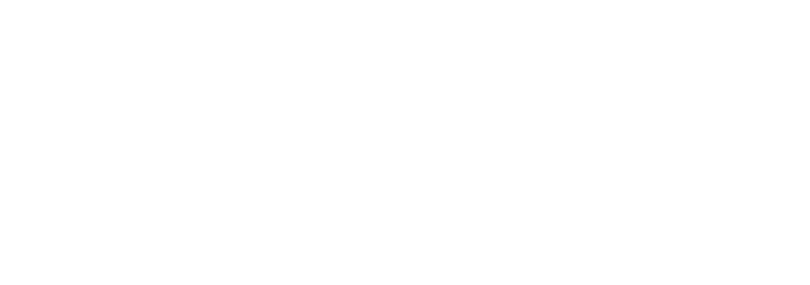 Institut za geopolitiku, ekonomiju i sigurnost (IGES)